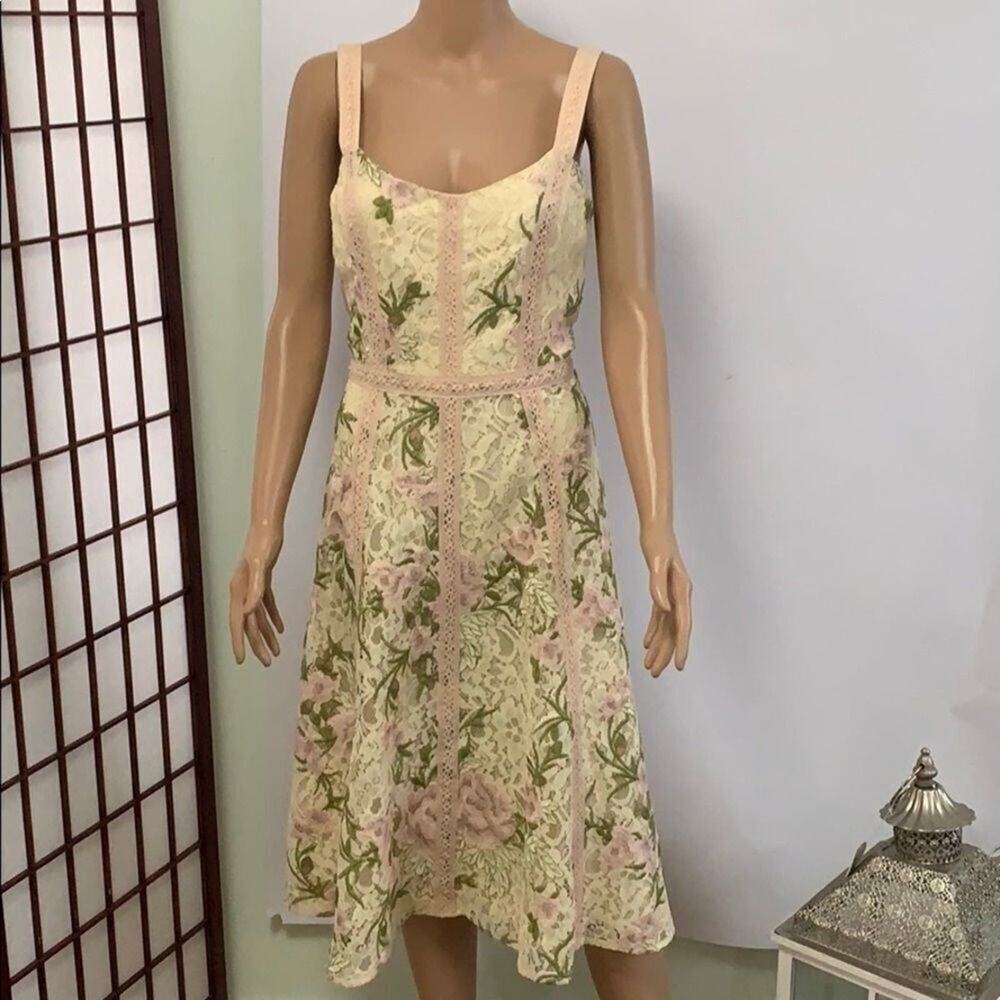 DRESS THE POPULATION‎ BLUSH NWT EMBROIDERY DRESS SIZE M